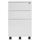 Thurrock Lockable Steel Mobile Pedestal